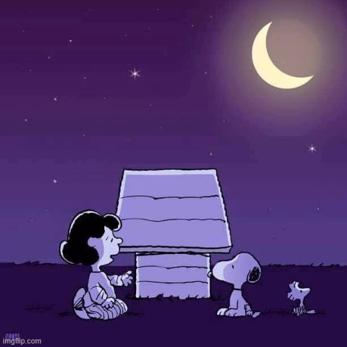 Good night  | image tagged in good night | made w/ Imgflip meme maker