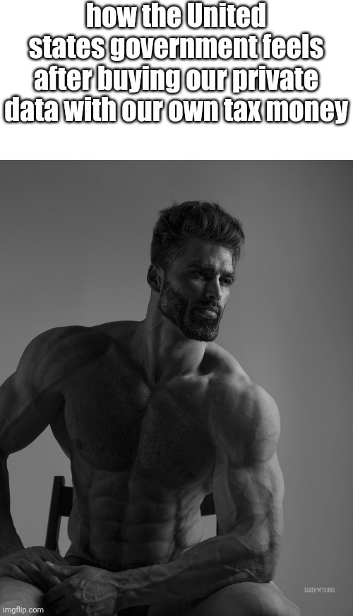 Giga Chad | how the United states government feels after buying our private data with our own tax money | image tagged in giga chad | made w/ Imgflip meme maker