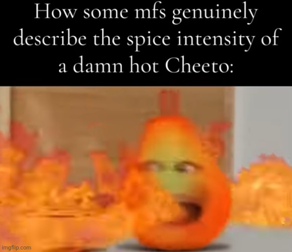 cheetoes | made w/ Imgflip meme maker