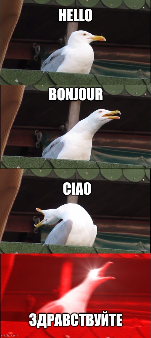 Hello in Different Languages | Hello; Bonjour; Ciao; Здравствуйте | image tagged in memes,inhaling seagull | made w/ Imgflip meme maker