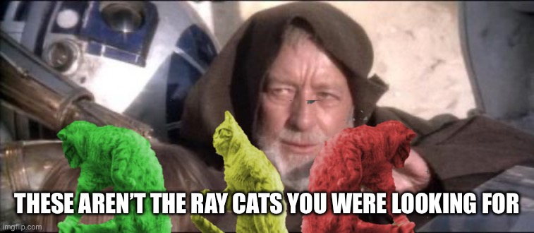 These Aren't The Droids You Were Looking For Meme | These aren’t the Ray cats you were looking for | image tagged in memes,these aren't the droids you were looking for | made w/ Imgflip meme maker