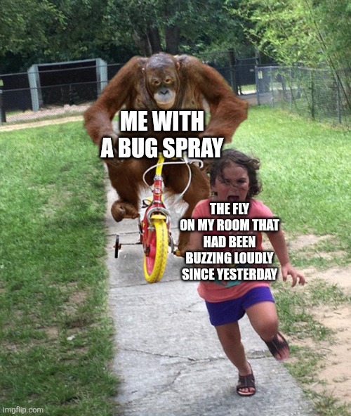 Orangutan chasing girl on a tricycle | Me with a bug spray; The fly on my room that had been buzzing loudly since yesterday | image tagged in memes,fly,spray | made w/ Imgflip meme maker