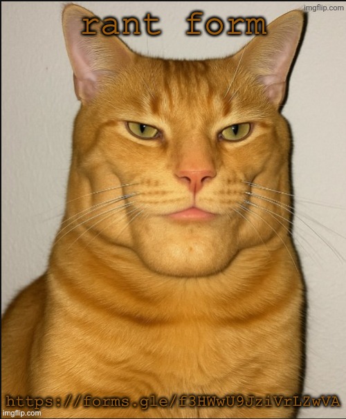 look at it | rant form; https://forms.gle/f3HWwU9JziVrLZwVA | image tagged in chad cat | made w/ Imgflip meme maker