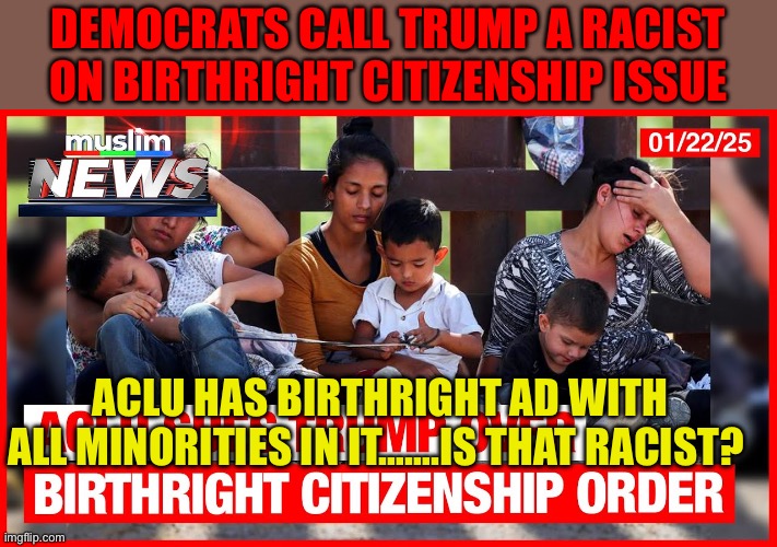 ACLU displays racism to combat national sovereignty | Democrats call Trump a racist on birthright citizenship issue; ACLU has birthright ad with all minorities in it…….is that racist? | image tagged in gifs,democrats,racism,democratic socialism,woke,voter fraud | made w/ Imgflip meme maker