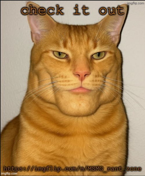 only way for it to get interesting is to use it | check it out; https://imgflip.com/m/MSMG_rant_zone | image tagged in chad cat | made w/ Imgflip meme maker