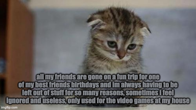 Sad kitten | all my friends are gone on a fun trip for one of my best friends birthdays and im always having to be left out of stuff for so many reasons, sometimes i feel ignored and useless, only used for the video games at my house | image tagged in sad kitten | made w/ Imgflip meme maker