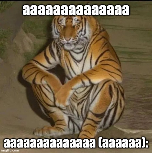 Sitting tiger | aaaaaaaaaaaaaa; aaaaaaaaaaaaaa (aaaaaa): | image tagged in sitting tiger,a,aaa,aaaaaaaaaaaaaaaaaaaaaaaaaaa,what can i say except aaaaaaaaaaa | made w/ Imgflip meme maker