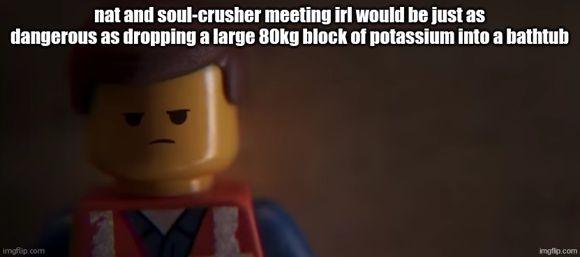 death stare | nat and soul-crusher meeting irl would be just as dangerous as dropping a large 80kg block of potassium into a bathtub | image tagged in death stare | made w/ Imgflip meme maker