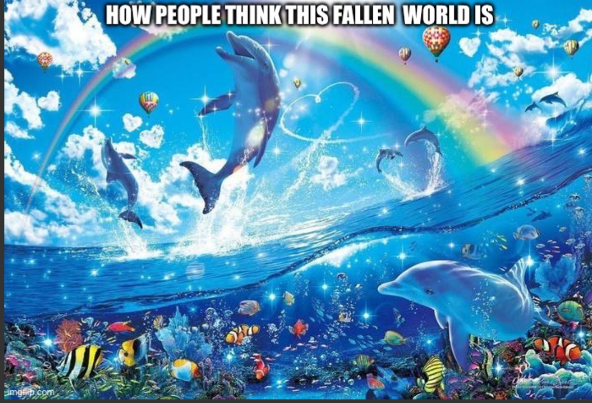 Fallen world aka what happened in genesis 3 Blank Meme Template