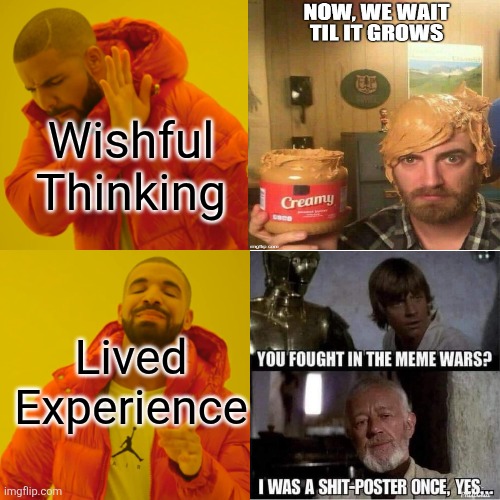 Drake Hotline Bling Meme | Wishful Thinking Lived Experience | image tagged in memes,drake hotline bling | made w/ Imgflip meme maker