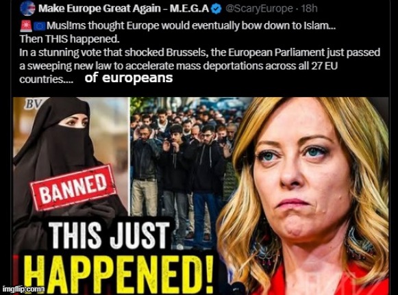 nup thats the joke ,EU leaders remove the people who have the problem instead of who are the problem | made w/ Imgflip meme maker