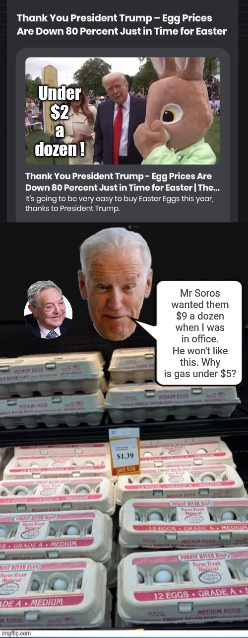 A sour egg for Demorhhoids to suck on | Under $2 a dozen ! Mr Soros wanted them $9 a dozen when I was in office. He won't like this. Why is gas under $5? | image tagged in too damn high,prices | made w/ Imgflip meme maker