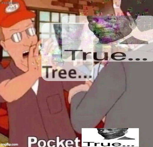 image tagged in pocket true | made w/ Imgflip meme maker
