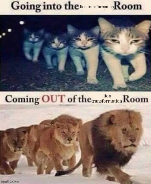 Coming into the x room Coming out of the x room | lion transformation; lion transformation | image tagged in coming into the x room coming out of the x room | made w/ Imgflip meme maker