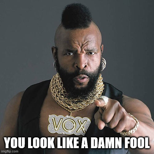 Mr T Pity The Fool Meme | you look like a damn fool | image tagged in memes,mr t pity the fool | made w/ Imgflip meme maker
