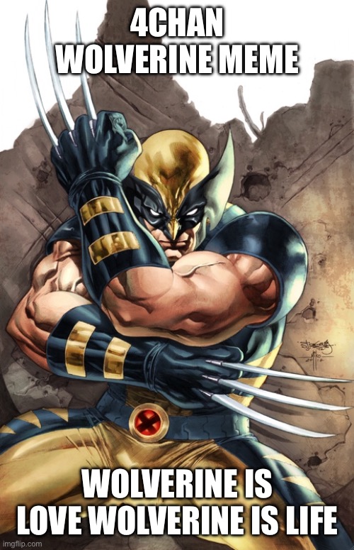 4CHAN WOLVERINE | 4CHAN WOLVERINE MEME; WOLVERINE IS LOVE WOLVERINE IS LIFE | image tagged in memes,wolverine remember | made w/ Imgflip meme maker