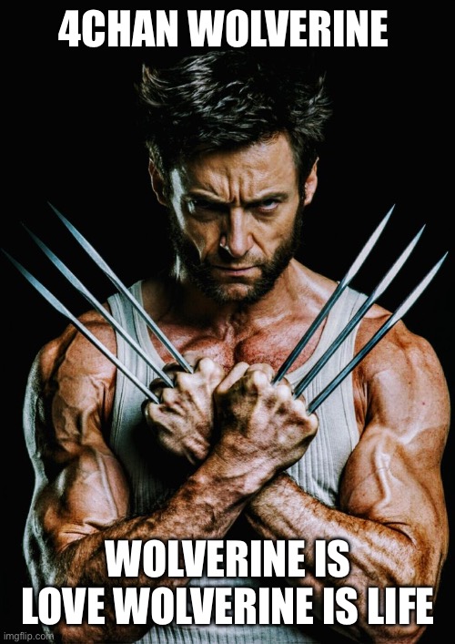 4CHAN WOLVERINE (WOLVERINE IS LOVE WOLVERINE IS LIFE) | 4CHAN WOLVERINE; WOLVERINE IS LOVE WOLVERINE IS LIFE | image tagged in qrdevil meme,wolverine,4chan | made w/ Imgflip meme maker