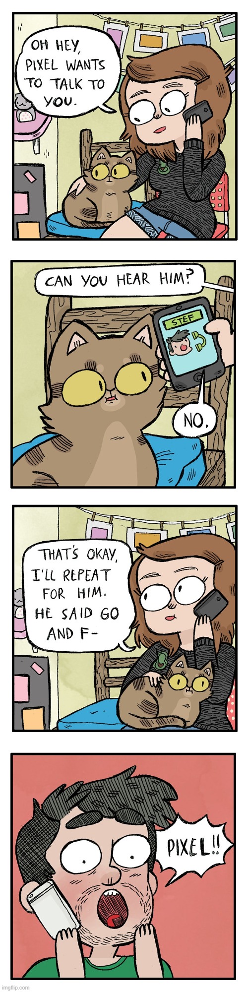 image tagged in phone,call,phone call,cat,rude,lol | made w/ Imgflip meme maker