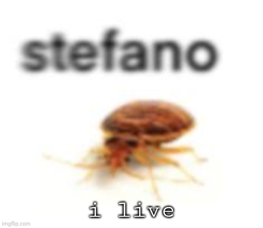 low quality bug 2 | i live | image tagged in low quality bug 2 | made w/ Imgflip meme maker