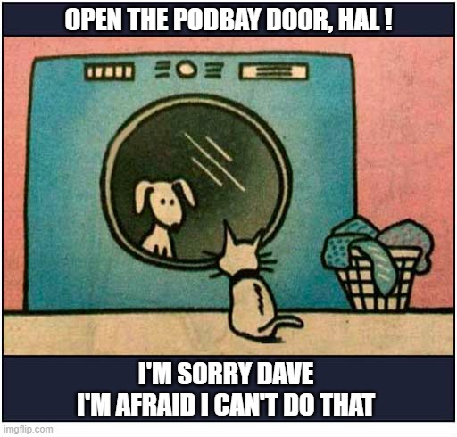 2001: A Pet Odyssey | Open the podbay door, Hal ! I'm sorry Dave
I'm afraid I can't do that | image tagged in cats,2001 a space odyssey | made w/ Imgflip meme maker