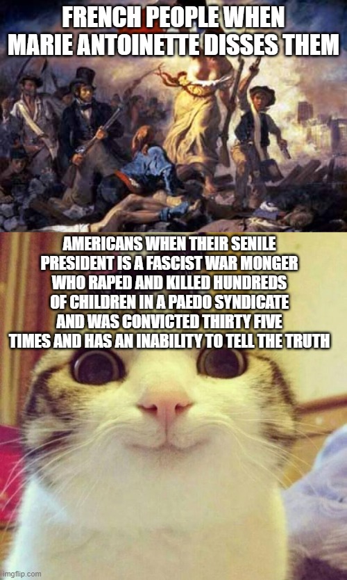 french people when marie antoinette disses them; americans when their senile president is a fascist war monger who raped and killed hundreds of children in a paedo syndicate and was convicted thirty five times and has an inability to tell the truth | image tagged in french revolution,memes,smiling cat | made w/ Imgflip meme maker