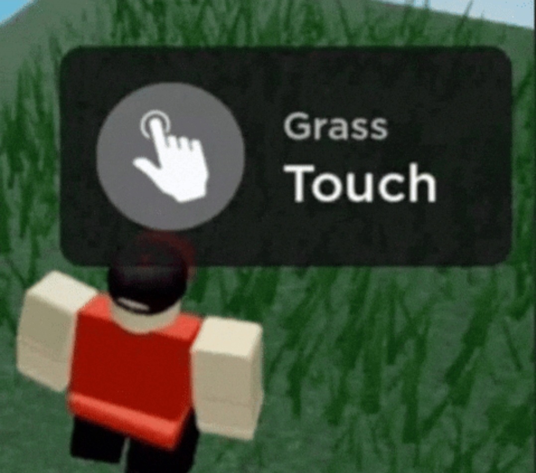 touch grass Blank Meme Template