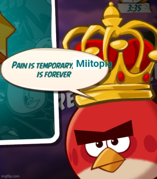 Idk what to put here | Miitopia | image tagged in pain is temporary anger is forever,peak fiction,gaming,angry birds,mii | made w/ Imgflip meme maker
