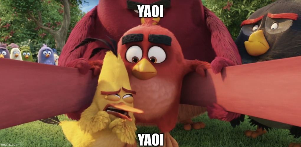 Yaoi angry birds | Yaoi; Yaoi | image tagged in angry birds,yaoi,oh wow are you actually reading these tags,hi | made w/ Imgflip meme maker