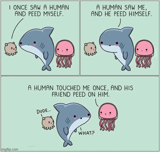 Sea Pee ! | image tagged in sea,peeing | made w/ Imgflip meme maker