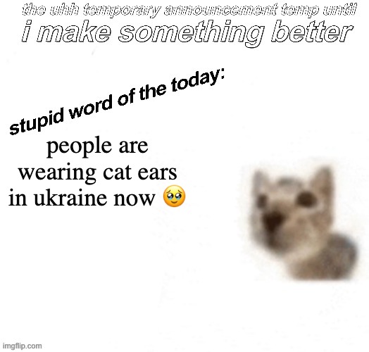 the uhh stupid car announcement temp (temporary) | people are wearing cat ears in ukraine now 🥹 | image tagged in the uhh stupid car announcement temp temporary | made w/ Imgflip meme maker
