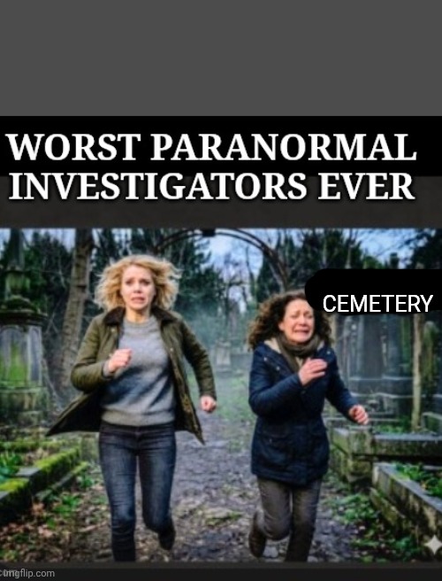 Scared Witless | Cemetery | image tagged in ghostbusters | made w/ Imgflip meme maker