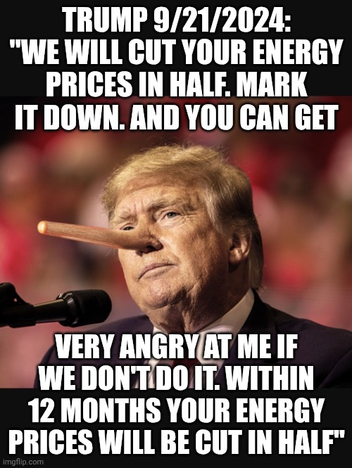 Running the country like one of his casinos | TRUMP 9/21/2024: "WE WILL CUT YOUR ENERGY PRICES IN HALF. MARK IT DOWN. AND YOu CAN GET; VERY ANGRY AT ME IF WE DON'T DO IT. WITHIN 12 MONTHS YOUR ENERGY PRICES WILL BE CUT IN HALF" | image tagged in trump pinocchii,trump unfit unqualified dangerous,donald trump,donald trump the clown,stable genius | made w/ Imgflip meme maker