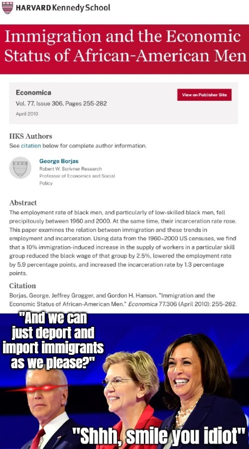 Lots of working immigrants = less working black dudes/Americans, as suspected. But race hustlers make them vote | image tagged in black people,politics,immigration,democrats | made w/ Imgflip meme maker
