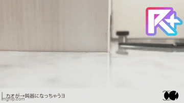 Cover art for Medicine (イガク)