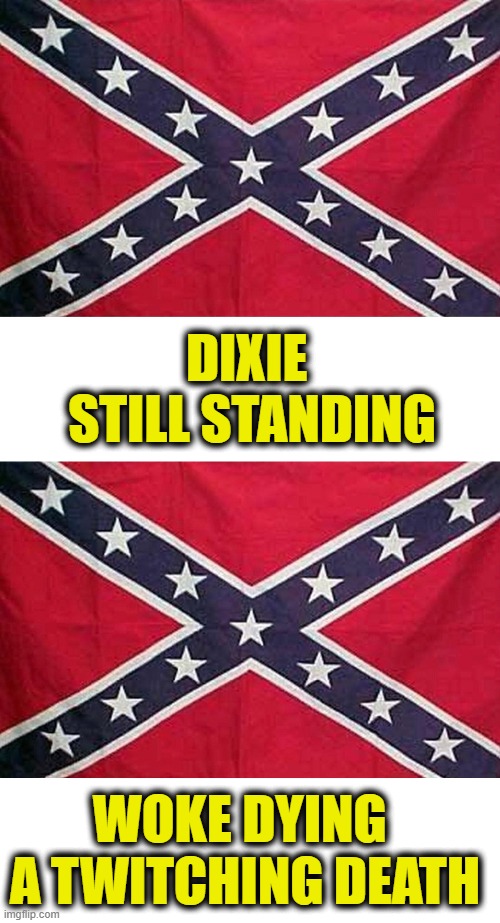 Hooray for dixie! | Dixie 
still standing; Woke dying 
a twitching death | image tagged in dixie | made w/ Imgflip meme maker