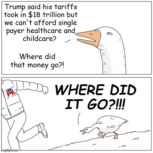 Good ol' Congressional GOP... caught between the Scylla and Charybdis and too desperate for re-election to admit their folly. | Trump said his tariffs
took in $18 trillion but
we can't afford single
payer healthcare and
childcare? Where did that money go?! Where did
it go?!!! | image tagged in goose chase | made w/ Imgflip meme maker