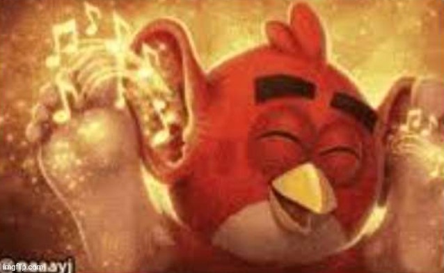 angry bird with ear open foot open | image tagged in angry bird with ear open foot open | made w/ Imgflip meme maker