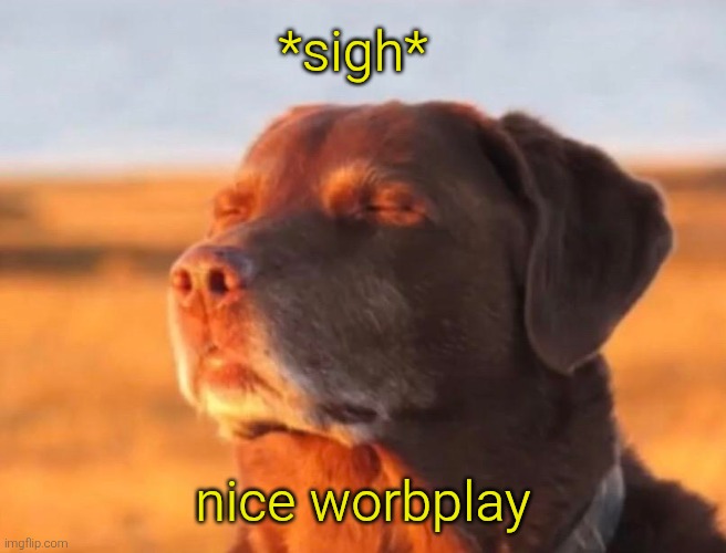 Dog accepting fate | *sigh* nice worbplay | image tagged in dog accepting fate | made w/ Imgflip meme maker