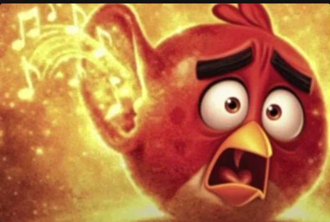 angry bird with ear open shocked Blank Meme Template