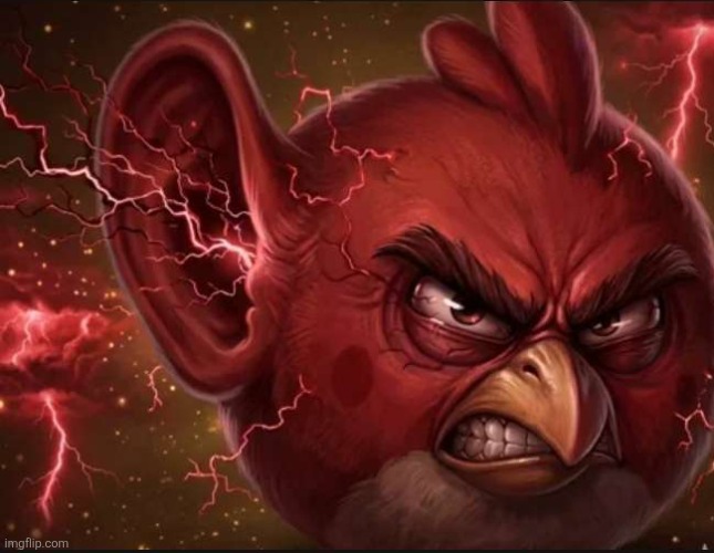angry bird with ear open angy | image tagged in angry bird with ear open angy | made w/ Imgflip meme maker