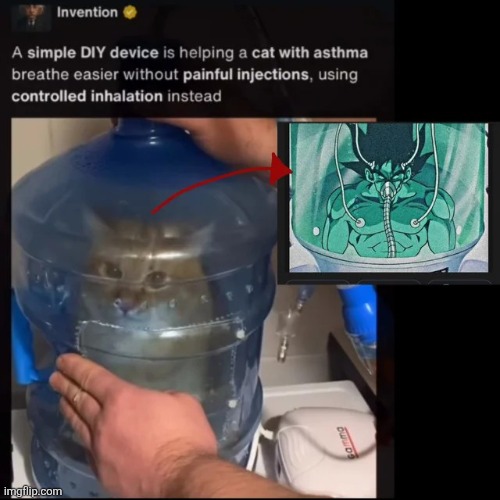 I won't let you destroy my world | image tagged in msmg | made w/ Imgflip meme maker