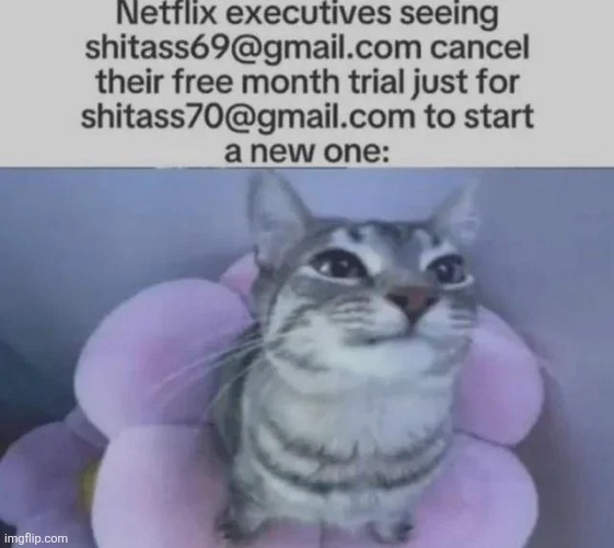 image tagged in msmg | made w/ Imgflip meme maker