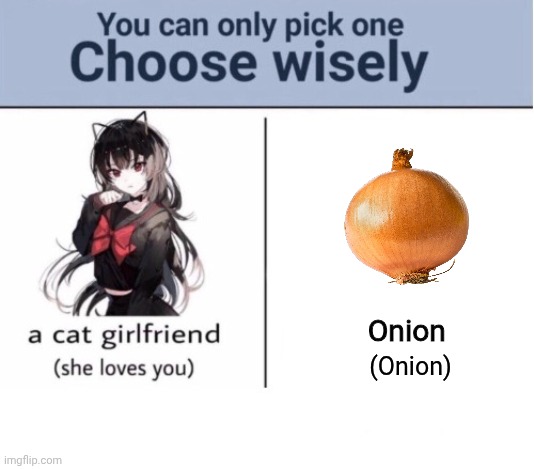 Easy choice | Onion; (Onion) | image tagged in choose wisely,onion,onions,girlfriend,vegetable,memes | made w/ Imgflip meme maker