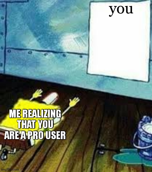 spongebob worship | you me realizing that you are a pro user | image tagged in spongebob worship | made w/ Imgflip meme maker