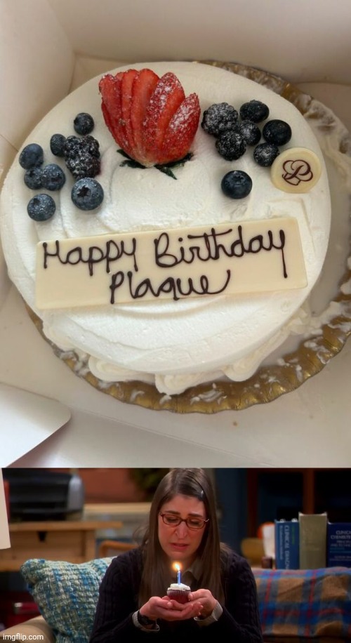 "Plaque" | image tagged in amy sad birthday the big bang theory,happy birthday,plaque,cake,memes,you had one job | made w/ Imgflip meme maker