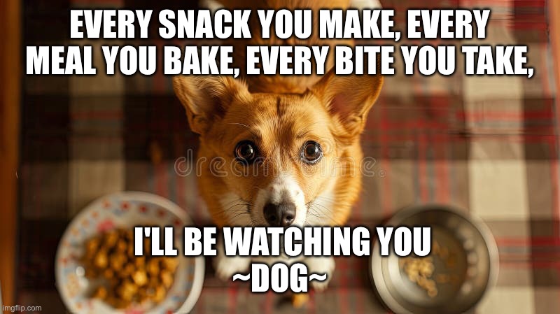 I’ll be Watching | Every snack you make, every meal you bake, every bite you take, I'll be watching you

~Dog~ | image tagged in dog,hungry,sad dog | made w/ Imgflip meme maker
