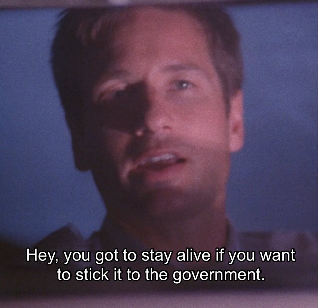 Mulder Inspirational Blank Meme Template