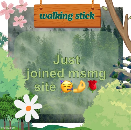 the walking stick announcement temp made by shira | Just joined msmg site 🥳🤌🌹 | image tagged in the walking stick announcement temp made by shira,msmg,finally inner peace | made w/ Imgflip meme maker