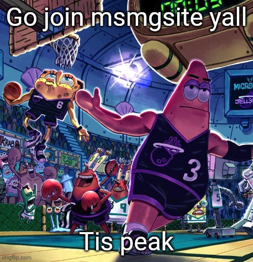 the bob ballin???? | Go join msmgsite yall; Tis peak | image tagged in the bob ballin | made w/ Imgflip meme maker