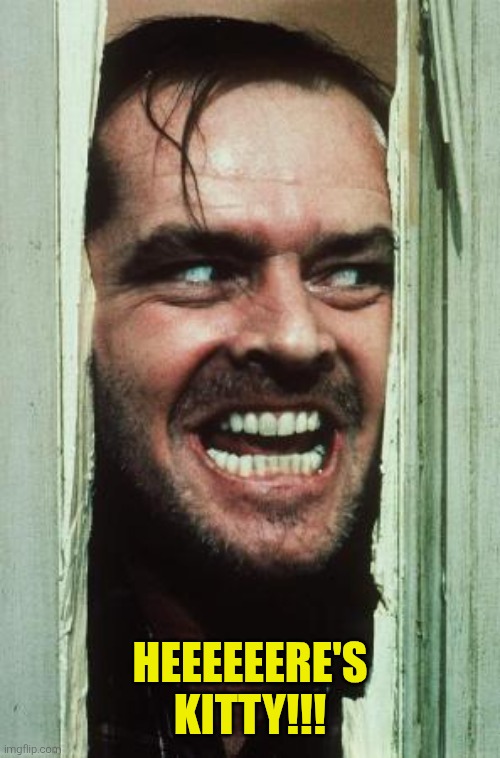 Here's Johnny Meme | heeeeeere's KITTY!!! | image tagged in memes,here's johnny | made w/ Imgflip meme maker